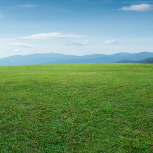 Green-Field Facilities Setup